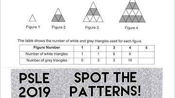 PSLE Math Question 2019 Paper 2 Q17