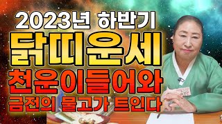 [2023년 하반기 닭띠운세] 올해 하반기 천운이 들어와 대박나는 닭띠 운세 / 새로운 기회가 금전을 가져온…