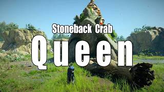 Queen Stoneback Crab - Kliff