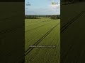 Maximise every acre. Monitor every asset.Smart farm management starts with data-driven control.