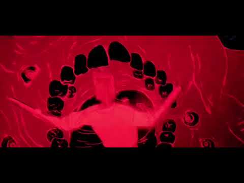 Pitbull Terrier Die Antwoord One Hour Loop