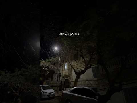 لا حد بعدك يملى عيوني خالد الصيفي مياده الحناوي احلو عمري حالات واتس زمن الفن الجميل