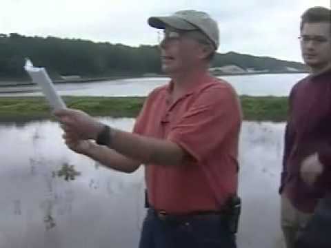 Video: Այցելություն Cranberry Bogs-ում Մասաչուսեթսում