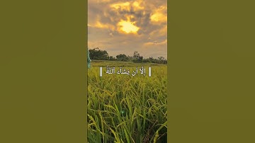 سورة الكهف - الشيخ المنشاوي #القرآن_الكريم #قرآن #قران_كريم