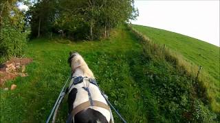 Saddlechariot touring at West Town Farm