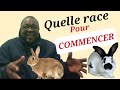 Avec quelle race de lapins dbuter en cuniculture  dbutants en levage des lapins