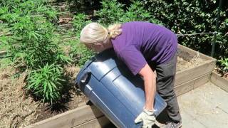 Cannabis Cultivation: Organic Fertilizer, Mulch and Water