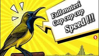 MASTERAN SOGON‼️ FULL TEMBAKAN CAP CAP SPEED #sogon #sogongacor #sogokontong