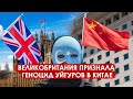 Великобритания признала  геноцид уйгуров: жесткая реакция Китая