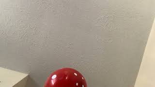Balloon episode #338