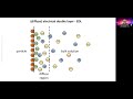 Measuring zeta potential - origin of zeta potential