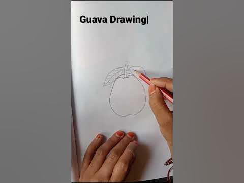 Guava Drawing shading ||अमरूद का चित्र बनाया!#shorts #drawing #Arsh