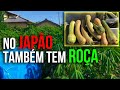 Visitei uma plantação no Japão e me senti no sítio do Brasil
