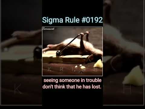 Smart Rat Sigma Rule | the King of Sigma Rule ? | Sigma Grindset | #sigmarule | #attitude | #funny