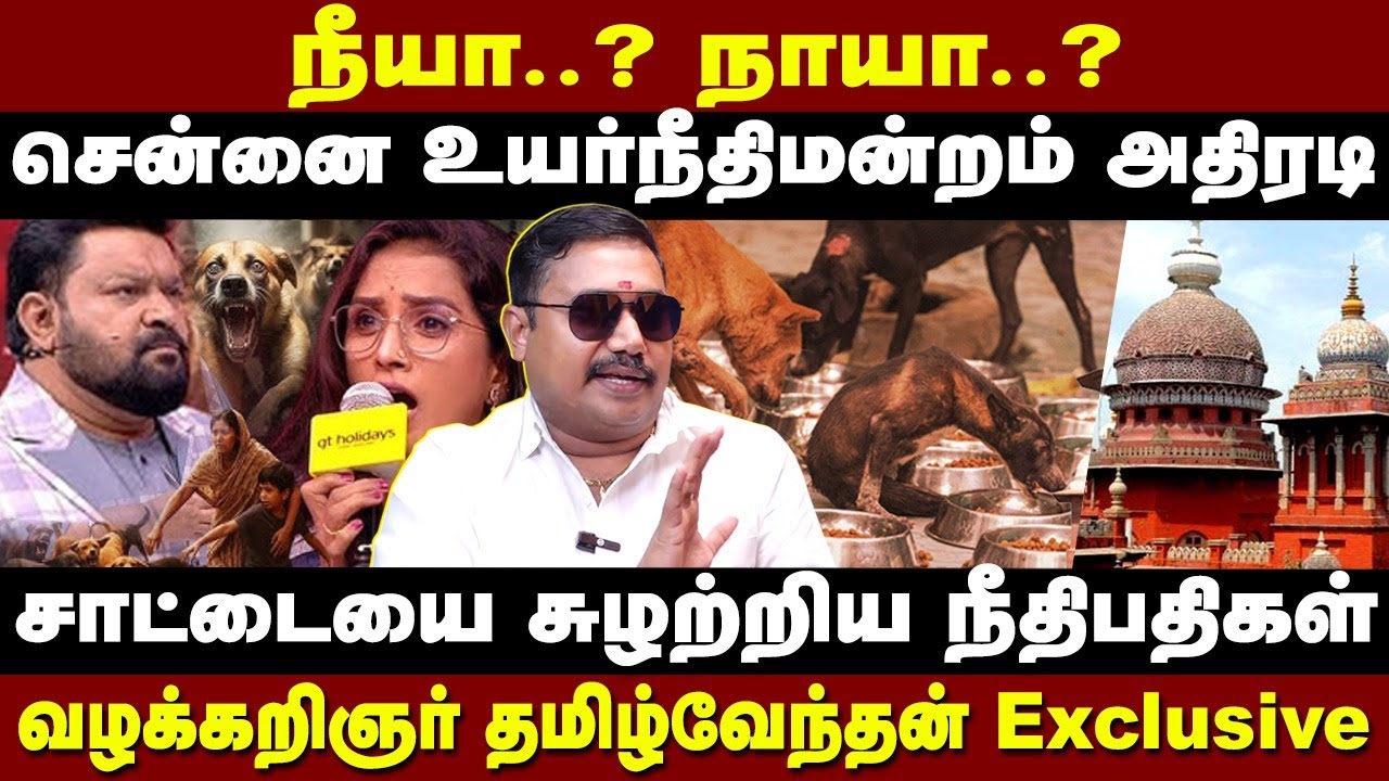 நானா? நீயா? உயர்நீதிமன்றம் அதிரடி | வழக்கறிஞர் தமிழ்வேந்தன் விளக்கம் | Advocate Tamilvendan