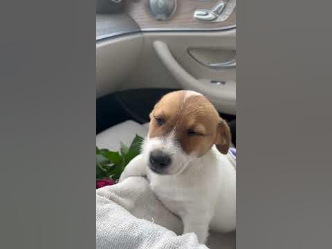 Подарок ! - YouTube