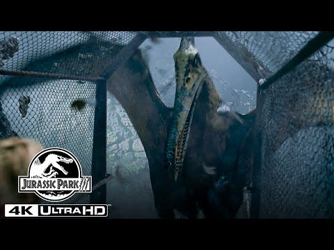 The Pteranodon Aviary Attack in 4K HDR | Jurassic Park III
