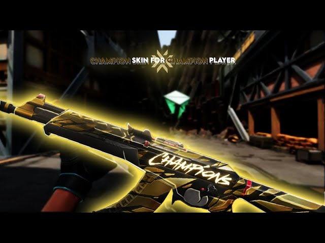 Champions Skin For Champion Player - Pain (Valorant Montage) class=