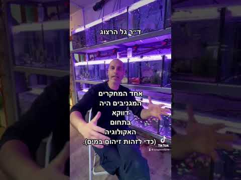 למה הינדסו דגי זברה כדי שיזהרו?