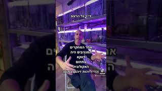 למה הינדסו דגי זברה כדי שיזהרו?