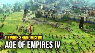 Age of Empires IV / Выход игры в релиз - знакомимся!