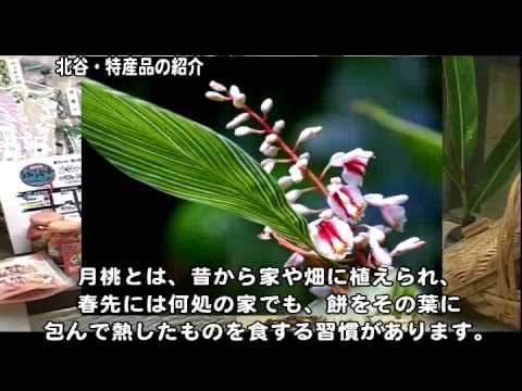 沖縄特産品【北谷TV】