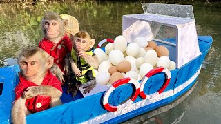 Bim Bim Went On A Boat To Collect Eggs And Took Care Of Two Adorable Baby Monkeys.funny Cute🤣