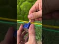Gênio da gambiarra isola dois fios grudados usando cavilha #DicasBrasil #IsolarFios #CavilhaSolução