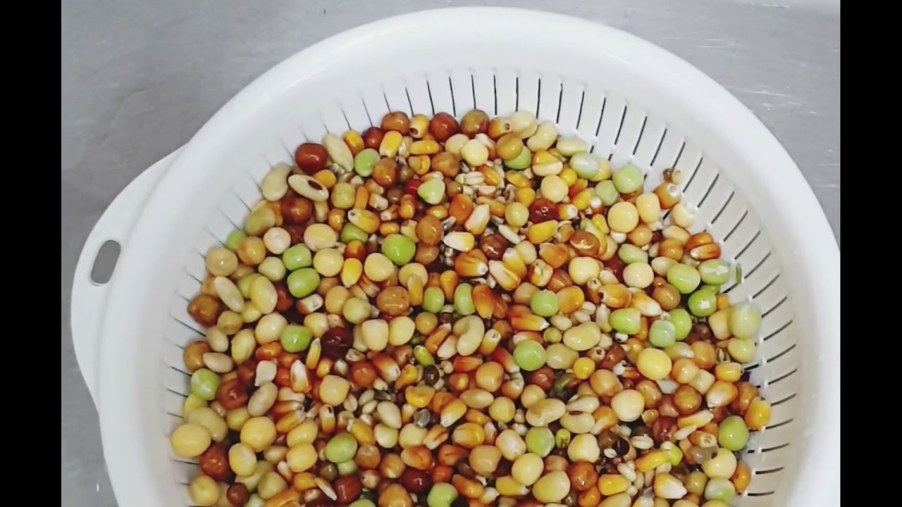 تحضير المنقوع للببغاوات ..