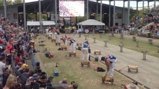 325Mm Sydney Royal Easter Show Championship Underhand Final 2017