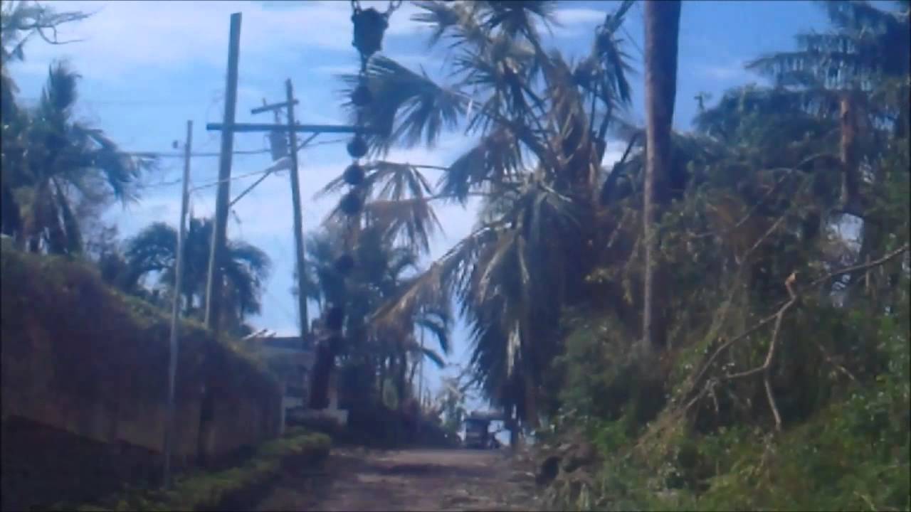 Northern Cebu (Bogo City)