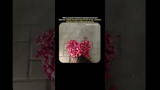 Lust🤕#love #heart #happy #quotes #lifequotes #sadquotes #viral #vibes #lust #cheating #lowkey #true