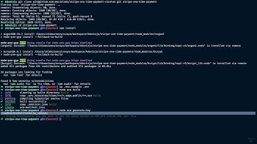 Accepting One-time Payment With Stripe - #2 Setting Up The Starter Project