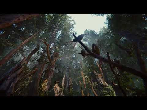 Unity引擎公佈2018技術Demo