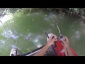Best of silure 2016 part 1 shad special  go pro