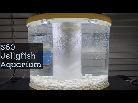 How To: $60 Jellyfish Tank! (Super easy to setup)