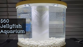 Can We Make An EPIC Moss Ball Jelly Fish Tank? 