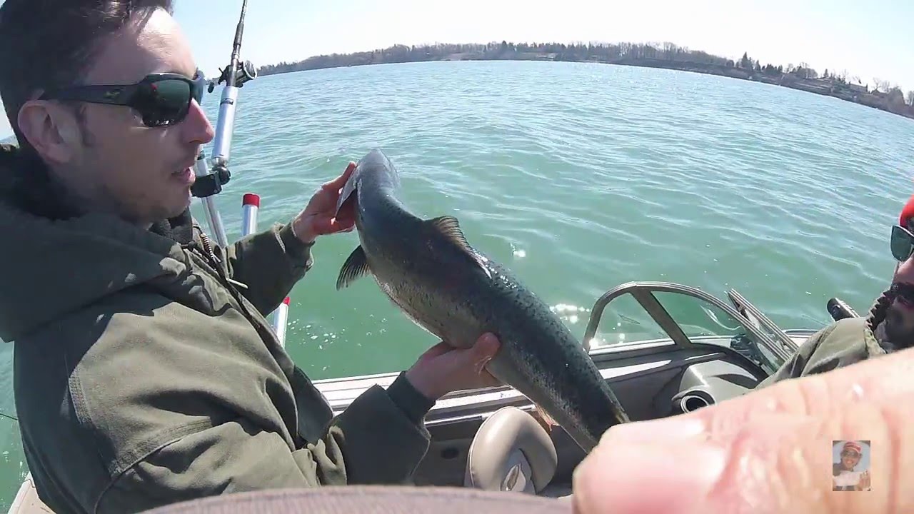 HD Early season Fishing for Trout/Salmon Lake Ontario April 16 2016