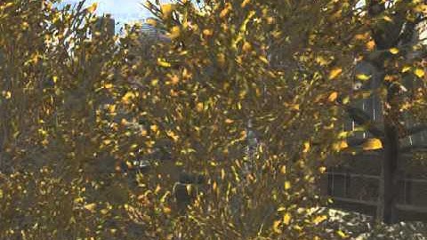 Out of map Liberation (M.O.A.B.)