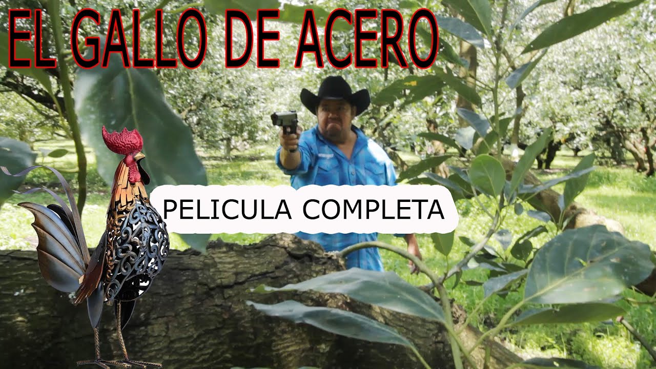 EL GALLO DE ACERO peliculas mexicanas /cine mexlatino
