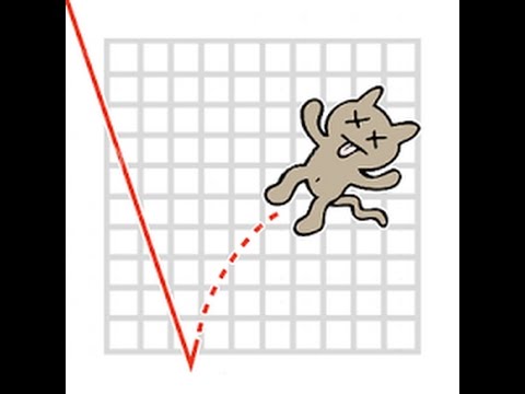 Dead Cat Bounce - YouTube