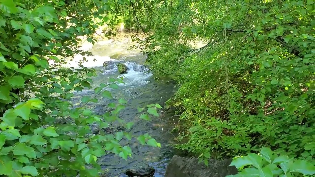 Utah: River, Stokes Nature Center
