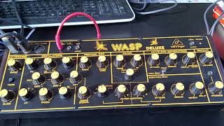 Behringer WASP delayed VCF envelope