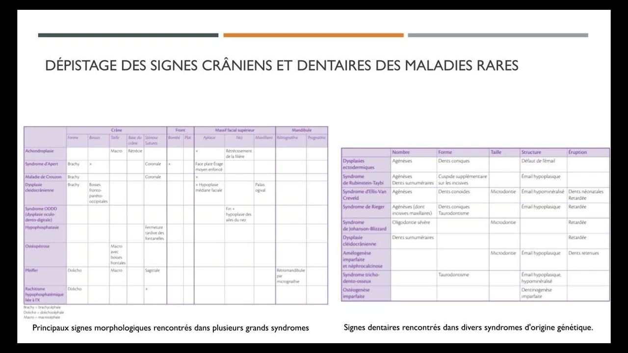 Synthèse diagnostique