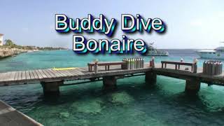 Shore scuba diving at Buddy Dive, Bonaire Netherlands Antilles