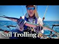 Sail trolling with lures  saltwater fishing