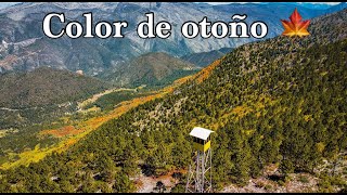 Torre de la Martha: El COLOR DE OTOÑO. Como llegar y subir a detalle by Fredy Guiando 8,578 views 1 year ago 15 minutes