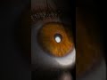 نادر شرار انت مكانك وسط العيون