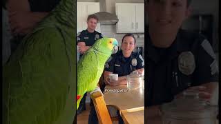 Parrot &amp; Cops - Parrot Broke the Chain of Custody... to Eat Cookies #parrot #police #shorts #cops