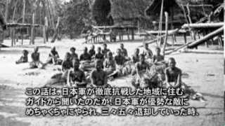 疑義を呈することが許されない「日本＝悪」という歴史観─日本の南洋戦略３